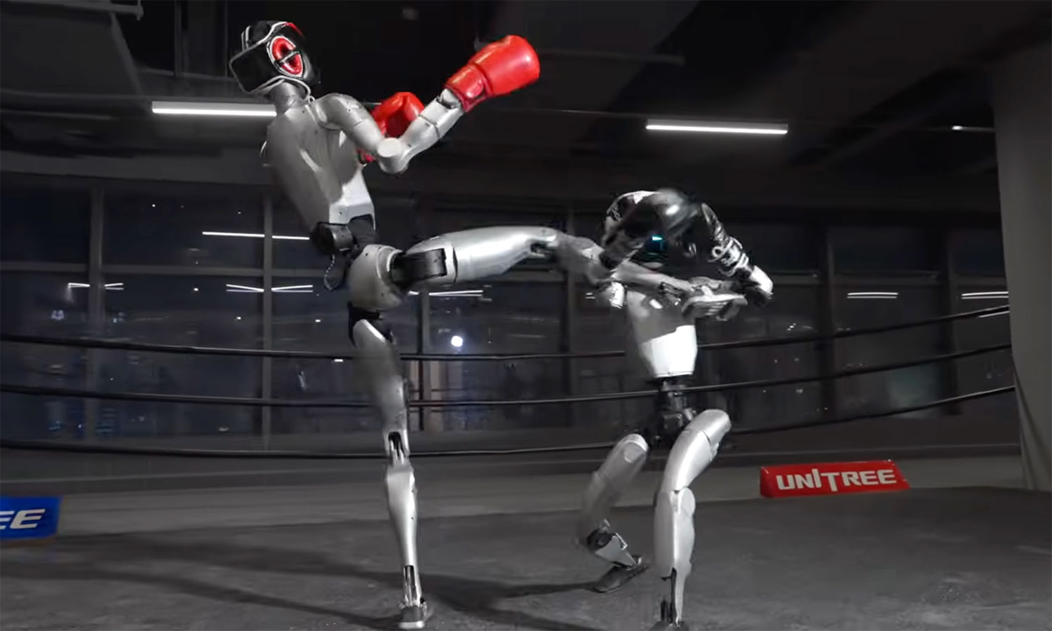 Robot humanoidalny dał niezły popis na ringu. Czy mamy się już bać?