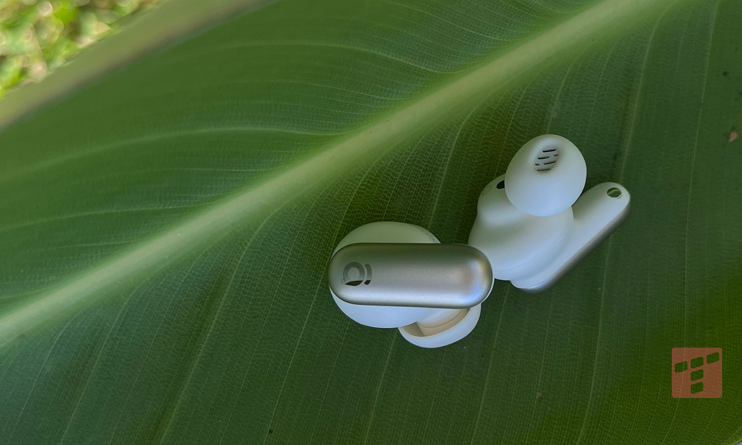 Słuchawki Baseus Inspire XP1. Kuszą wyglądem, nie odstraszają ceną (test)