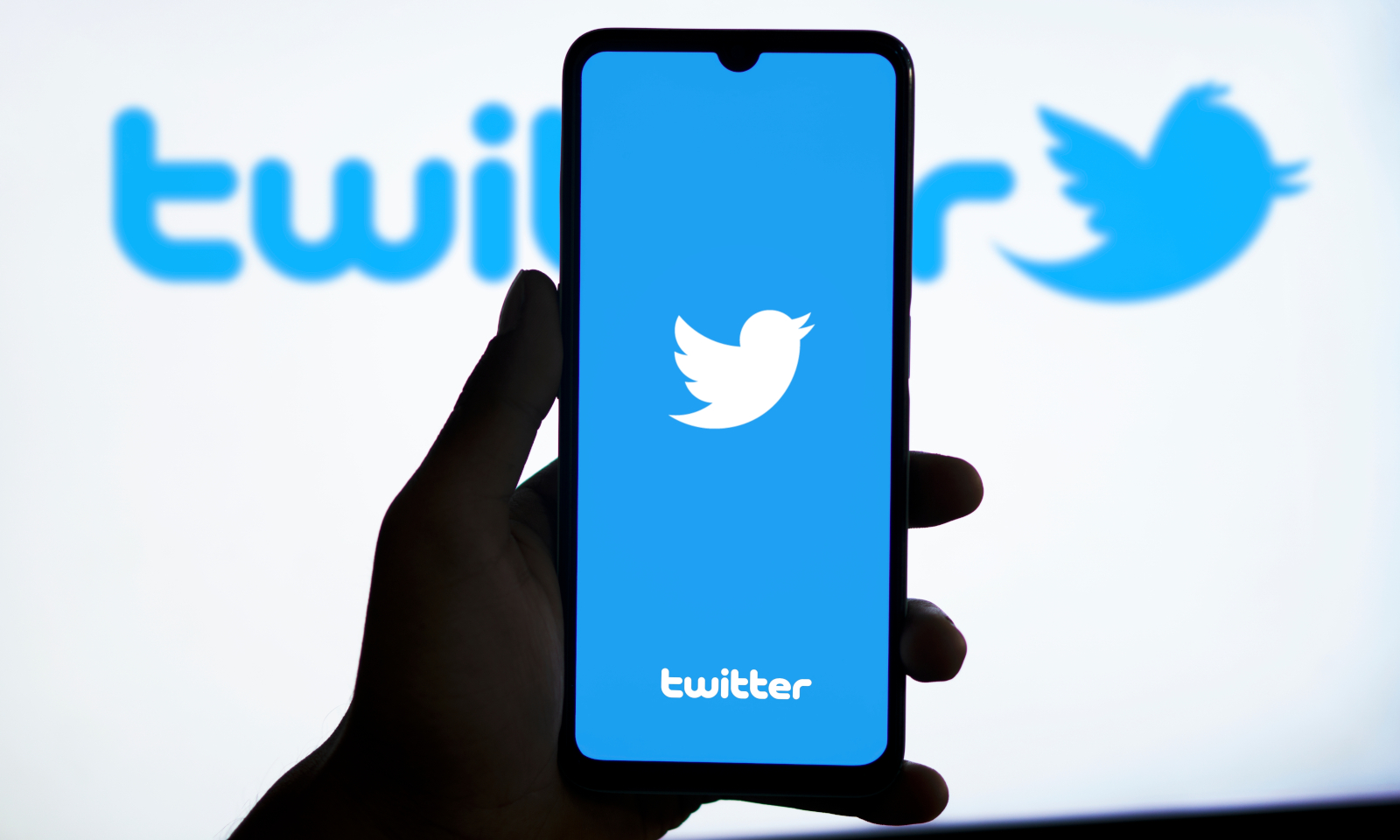 Twitter i niebieski ptaszek mogą powrócić. Nie, nie chodzi o X Elona Muska