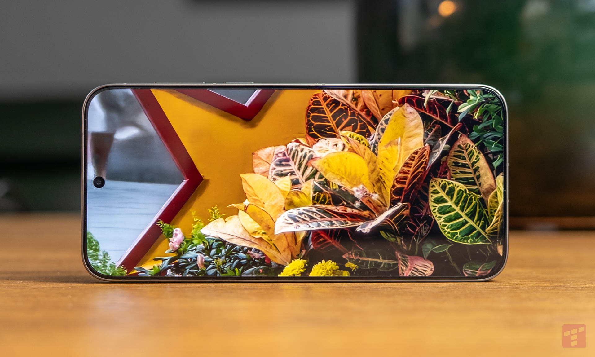 Czas wymienić swój telefon – jeszcze Ci za to zapłacą