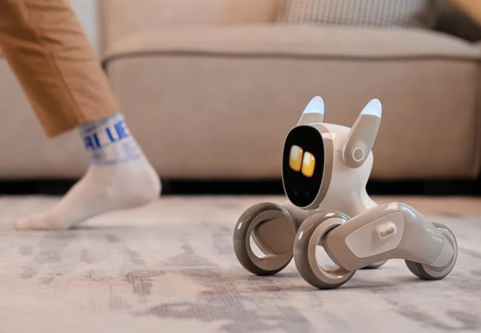 Ten robot reaguje na emocje i mówi po polsku. Właśnie wszedł do sprzedaży