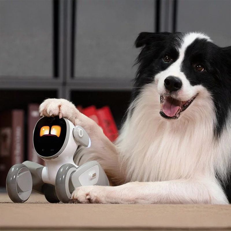 Ten robot reaguje na emocje i mówi po polsku. Właśnie wszedł do sprzedaży