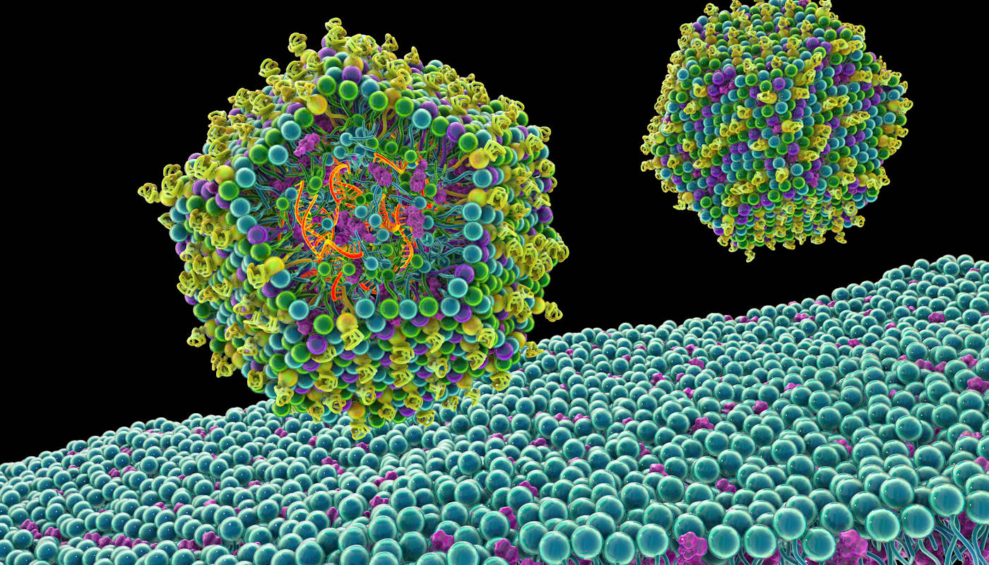 Styl życia ojca ma ogromny wpływ na dziedziczenie. Nowy trop nauki