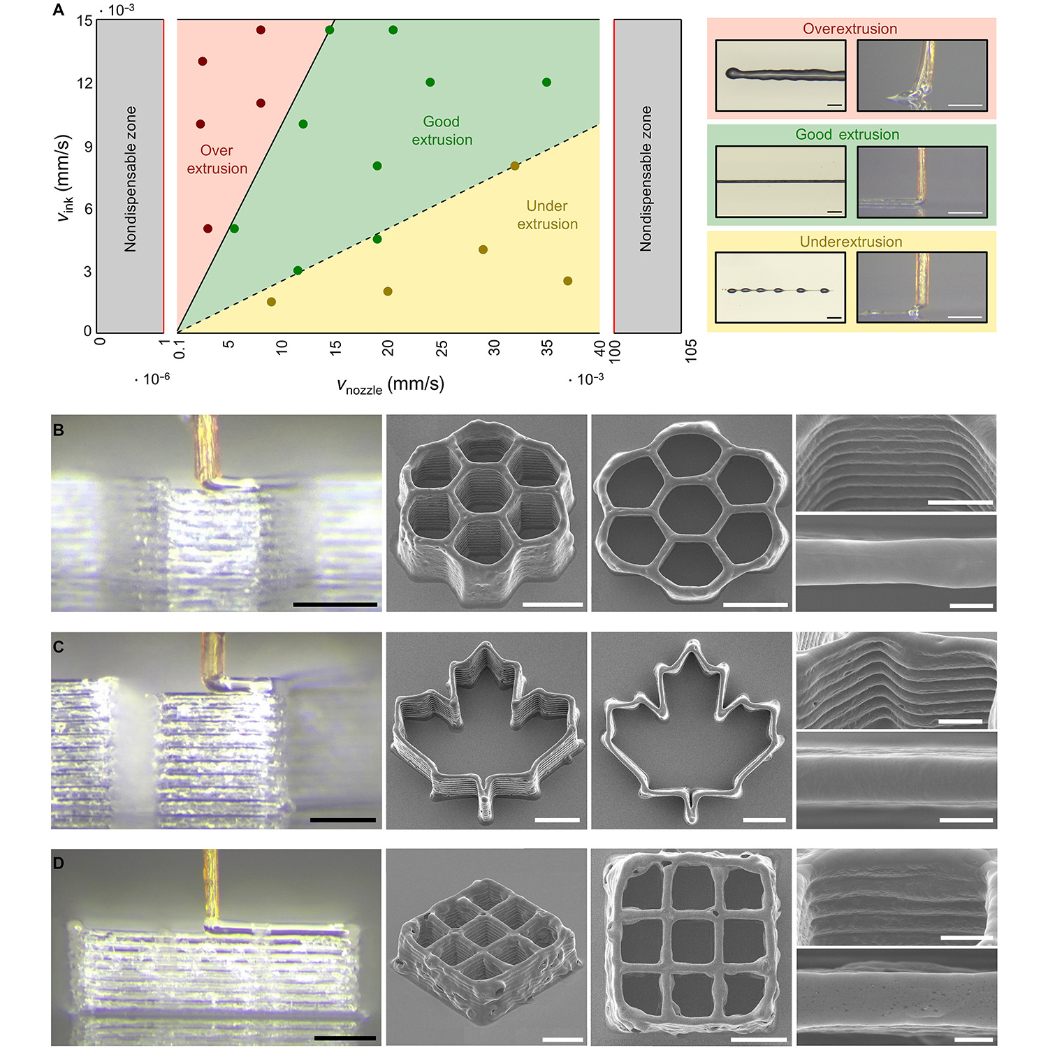 Chcą drukować komarami. Rekordowa precyzja