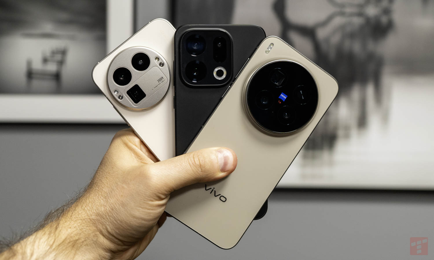 Oppo, Realme czy Vivo? Czytelnicy wybrali króla fotografii