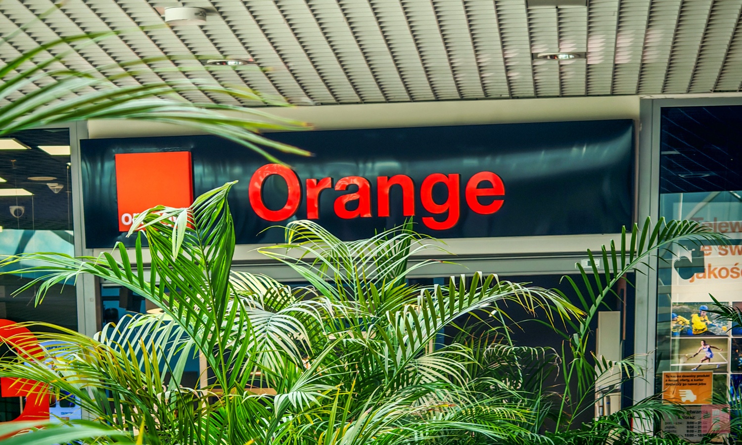 Orange podnosi opłaty. Zmiany od 1 kwietnia