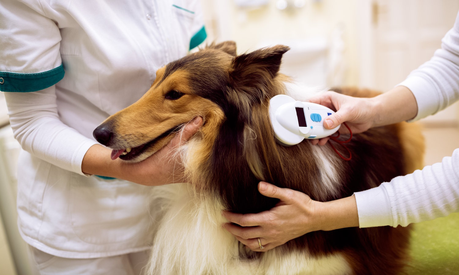 Nowy obowiązek dla milionów Polaków. Będzie nas kosztował 766 mln zł