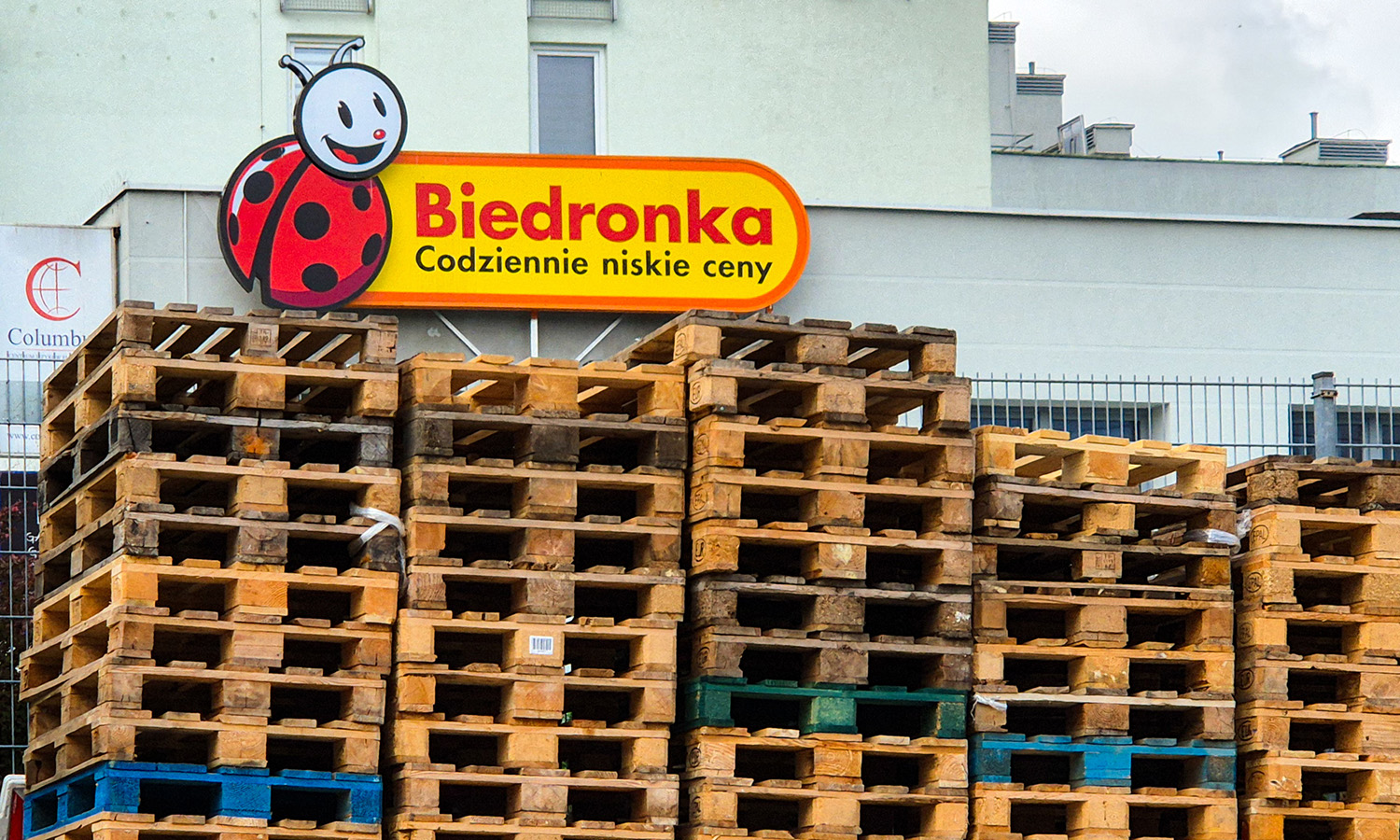 Biedronka łechce oszczędnych. Taki skarb, a tylko 59,90 zł