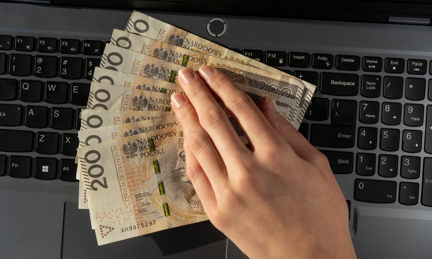 Plaga oszustw w sieci przeraża nas bardziej niż utrata pracy