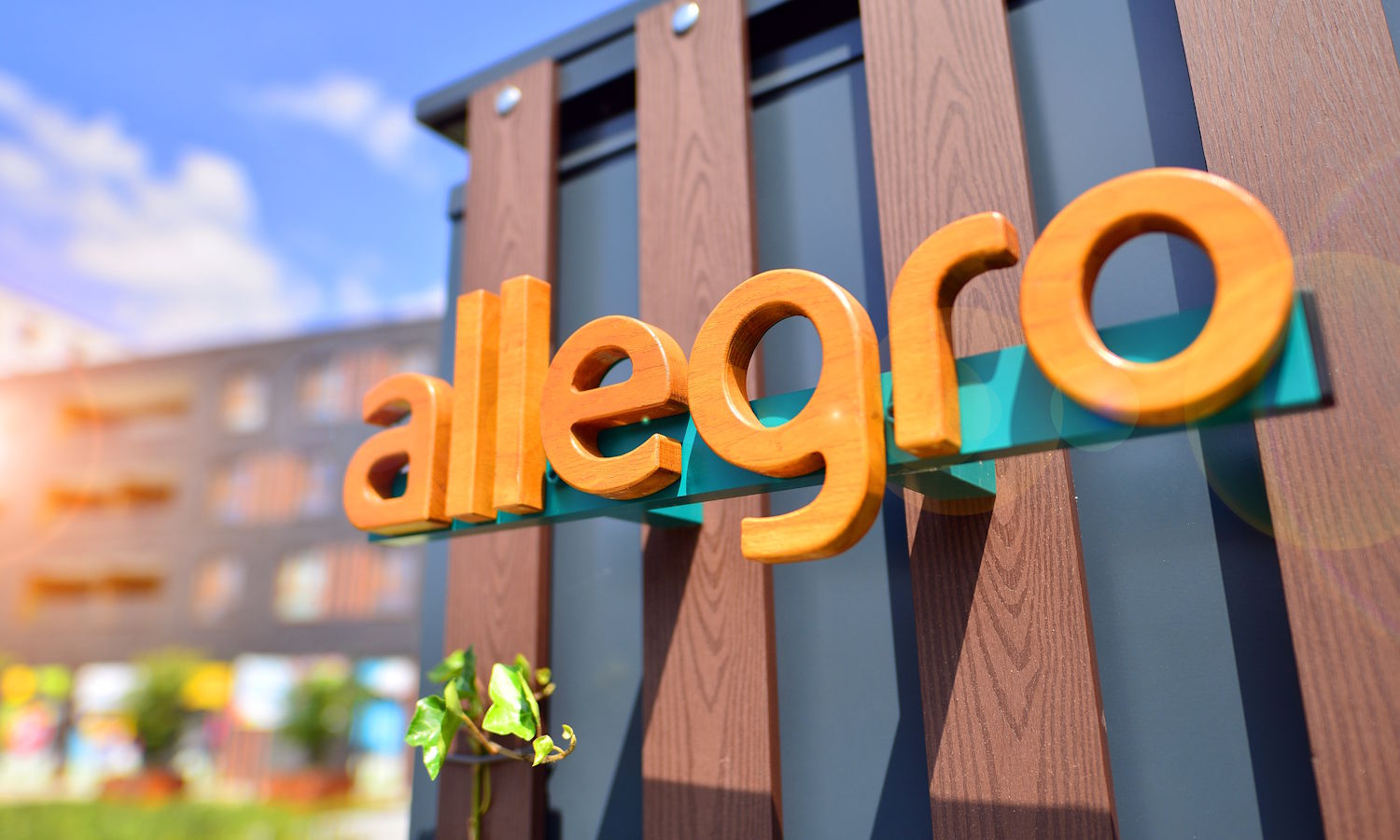 Allegro pożaliło się do sądu. Ten postanowił wysłuchać