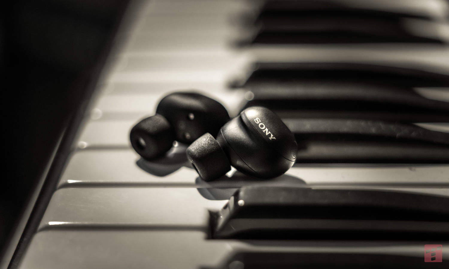 Już są Sony WF-1000XM6. Powrót legendy w wielkim stylu