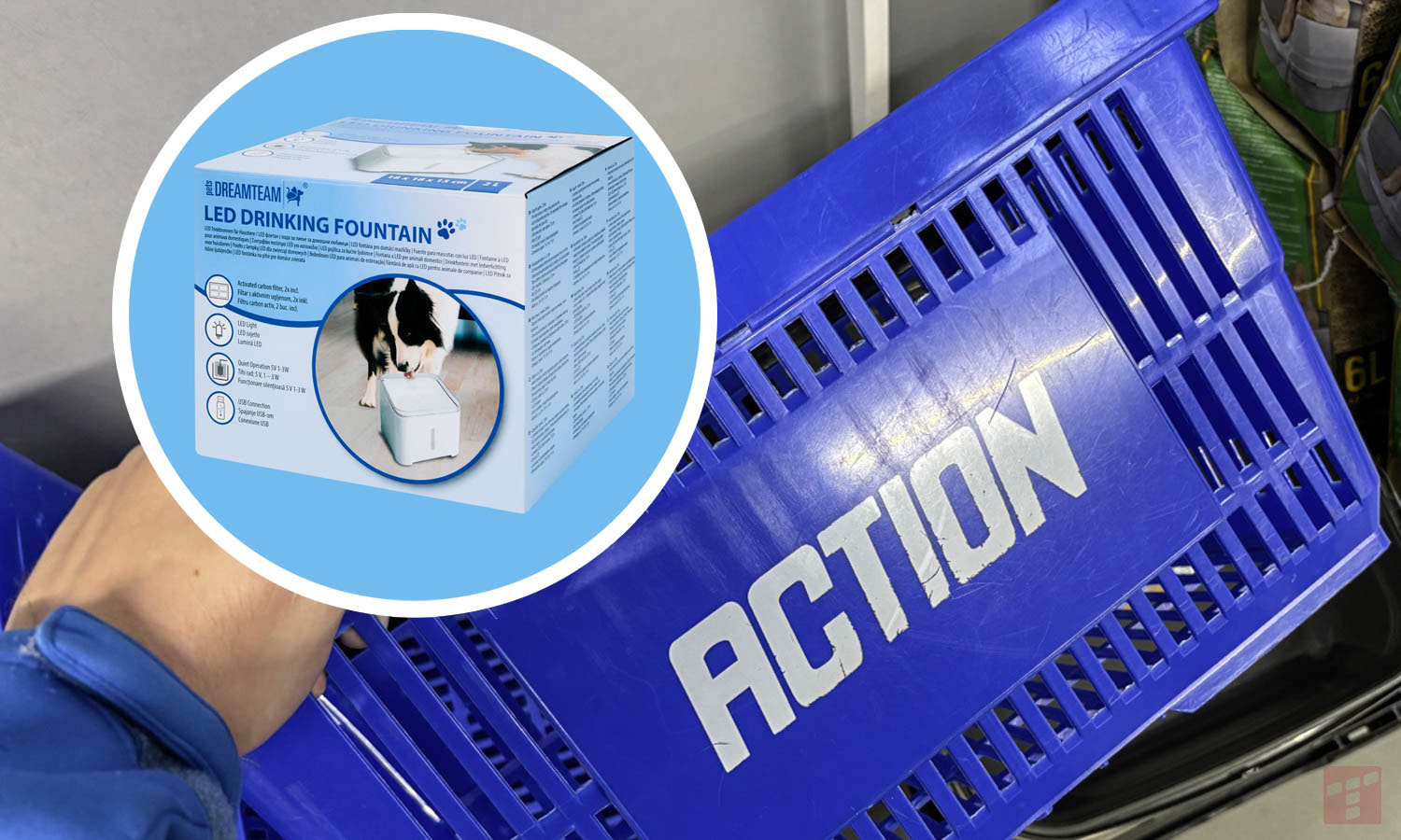 Action 44 zł za takie, Xiaomi chce dwie stówy