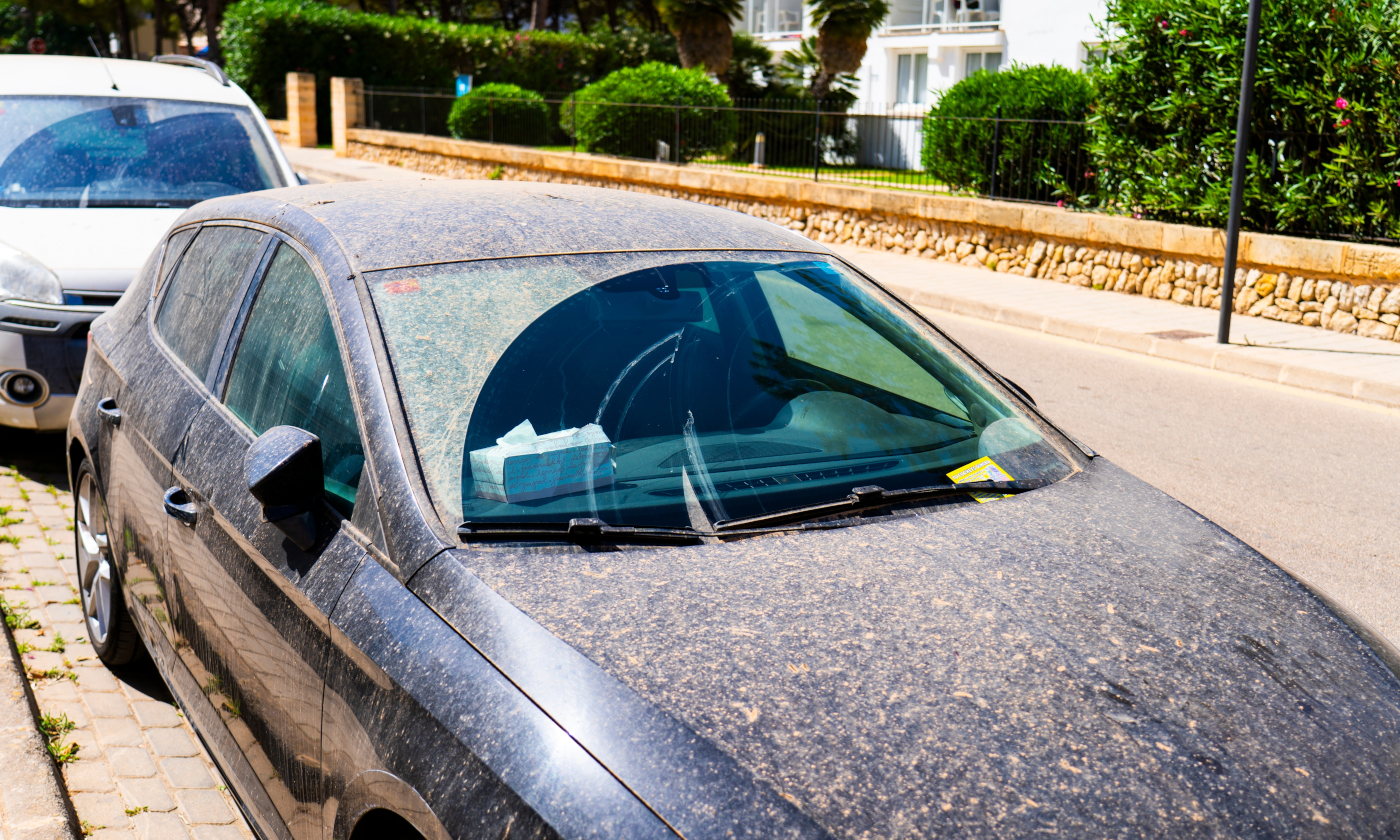 Olej pranie i nie myj już okien. On zaraz będzie nad Polską