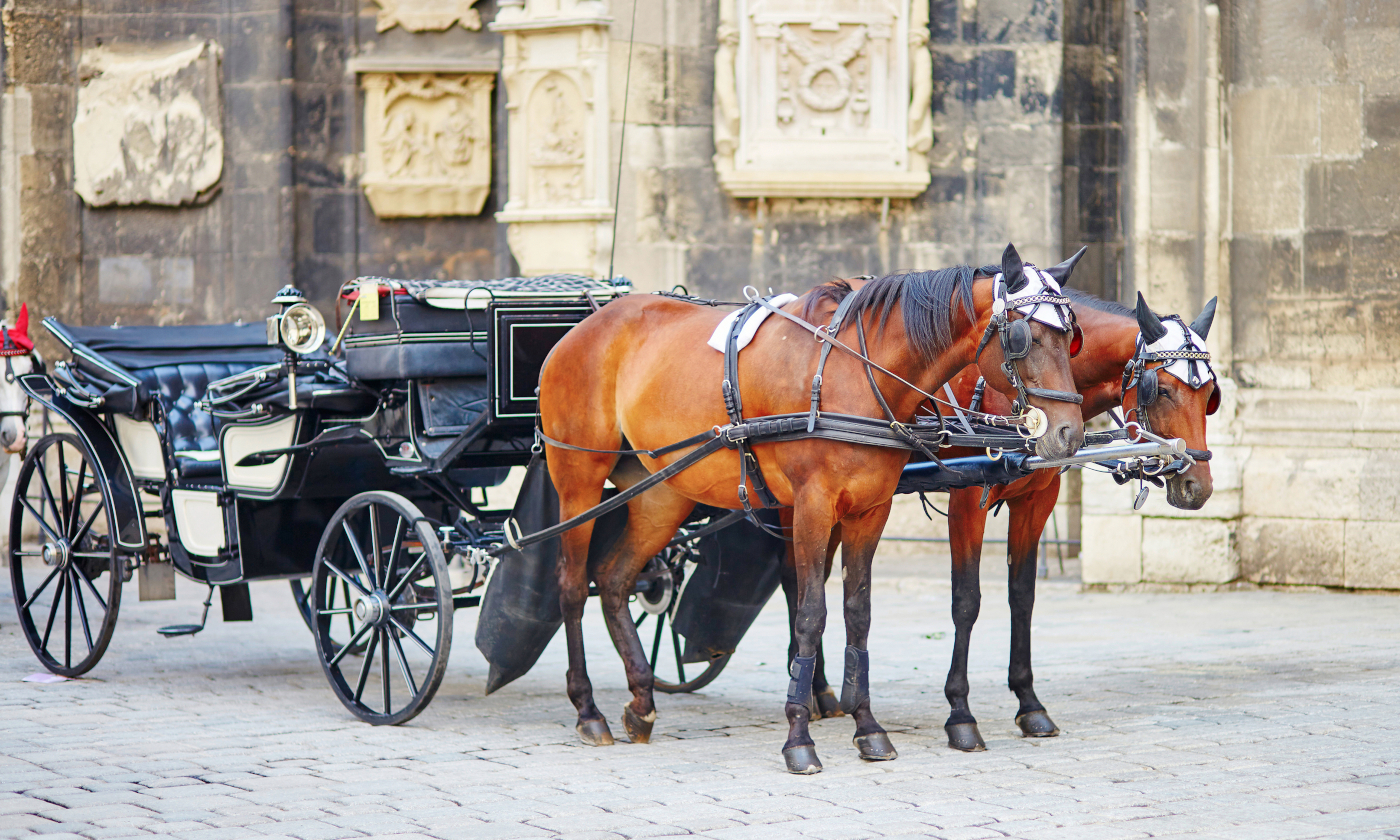 Były auta i żarówki, są świece i dorożki. To konsekwencje kryzysu paliwowego