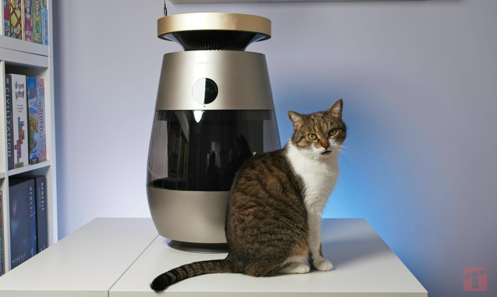 Oczyści powietrze i zabawi kota - test Dreame AP10