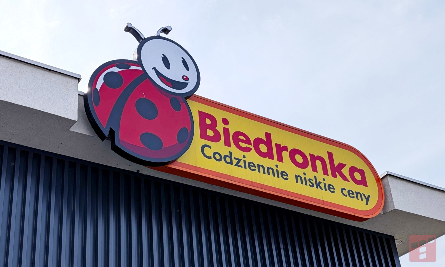 Biedronka daje za bezcen. Taki Dyson nawet 5 razy drożej