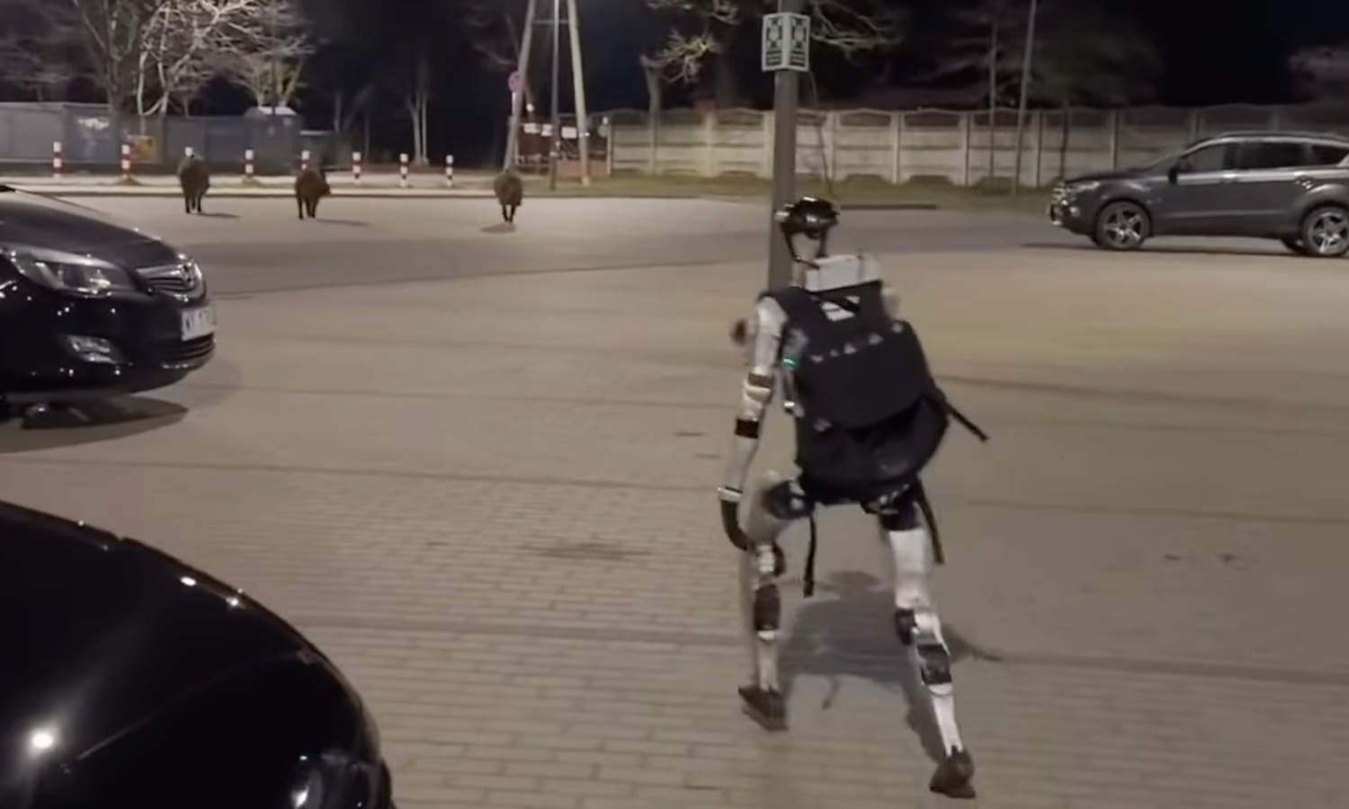 Polski robot alkoholik rzucił picie i rozpoczął walkę z dzikami