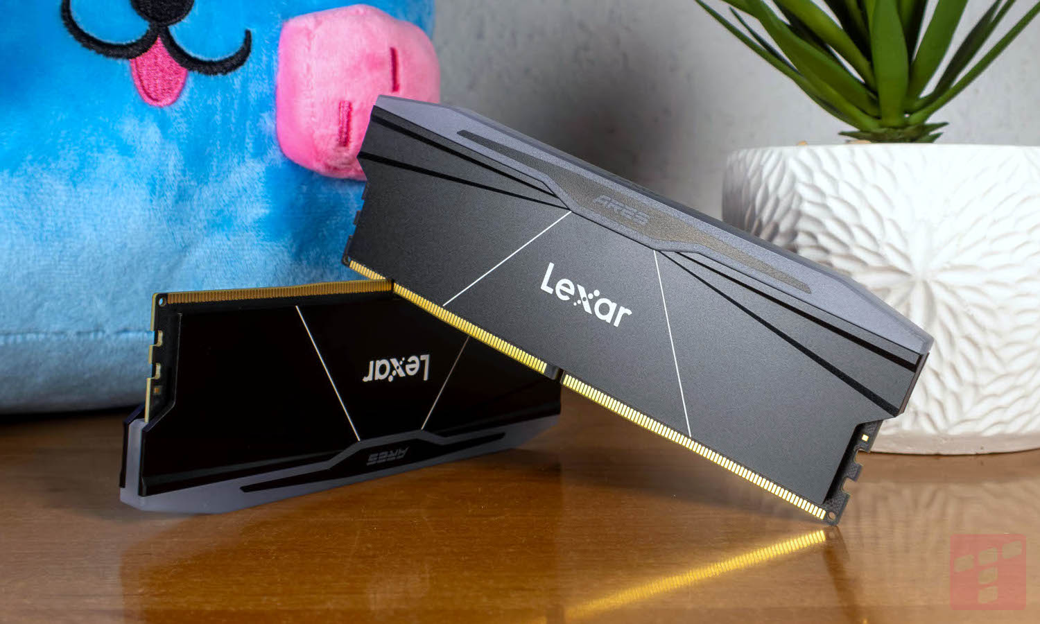 Dane nie kłamią. Gracze wolą mniej pamięci RAM niż mniejszy SSD