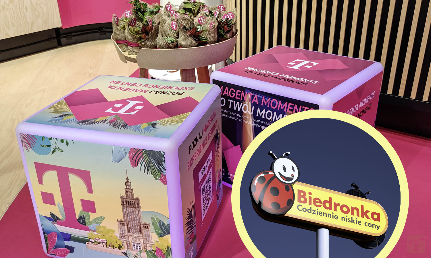 T-Mobile rozdaje pieniądze na zakupy. Kody czekają w aplikacji