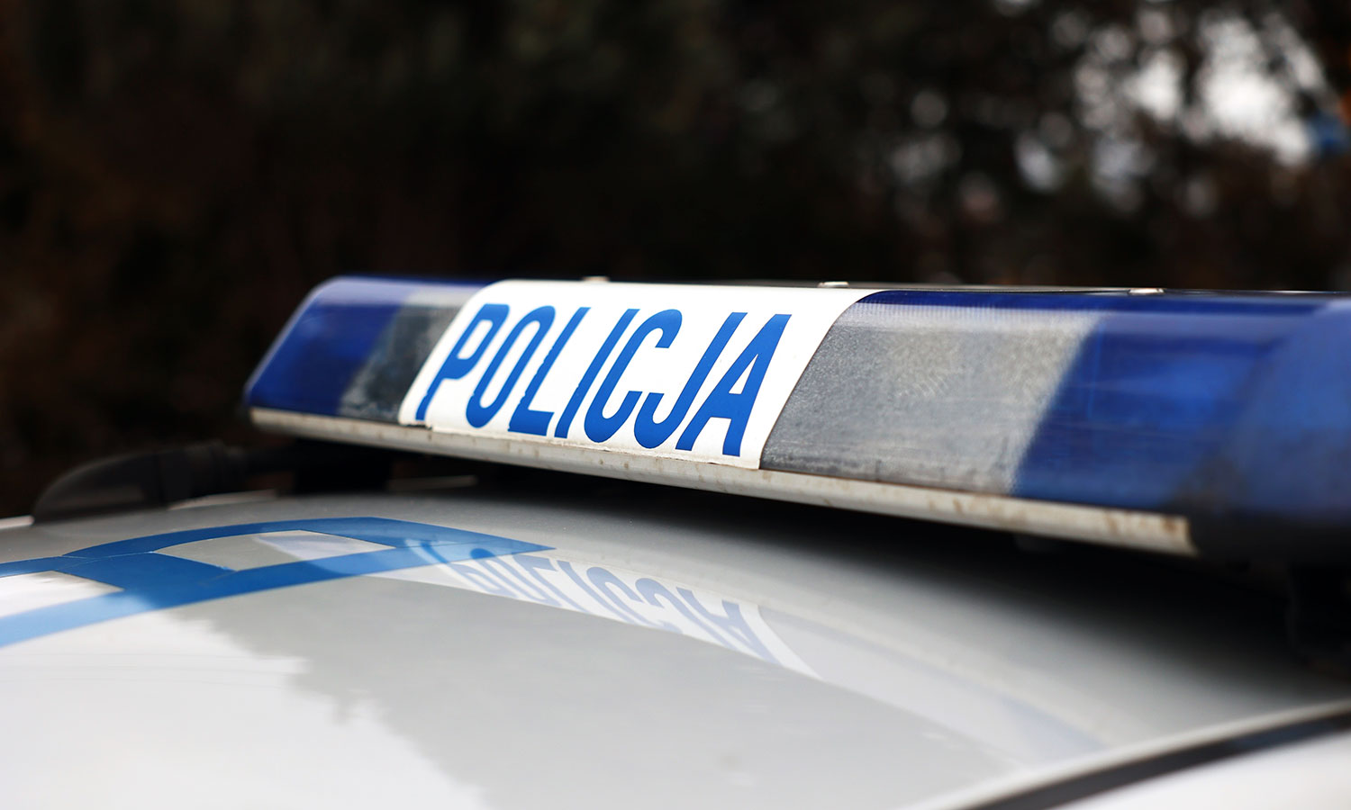 Myślała, iż wymyśliła coś genialnego. 24-latka zatrzymana przez policję