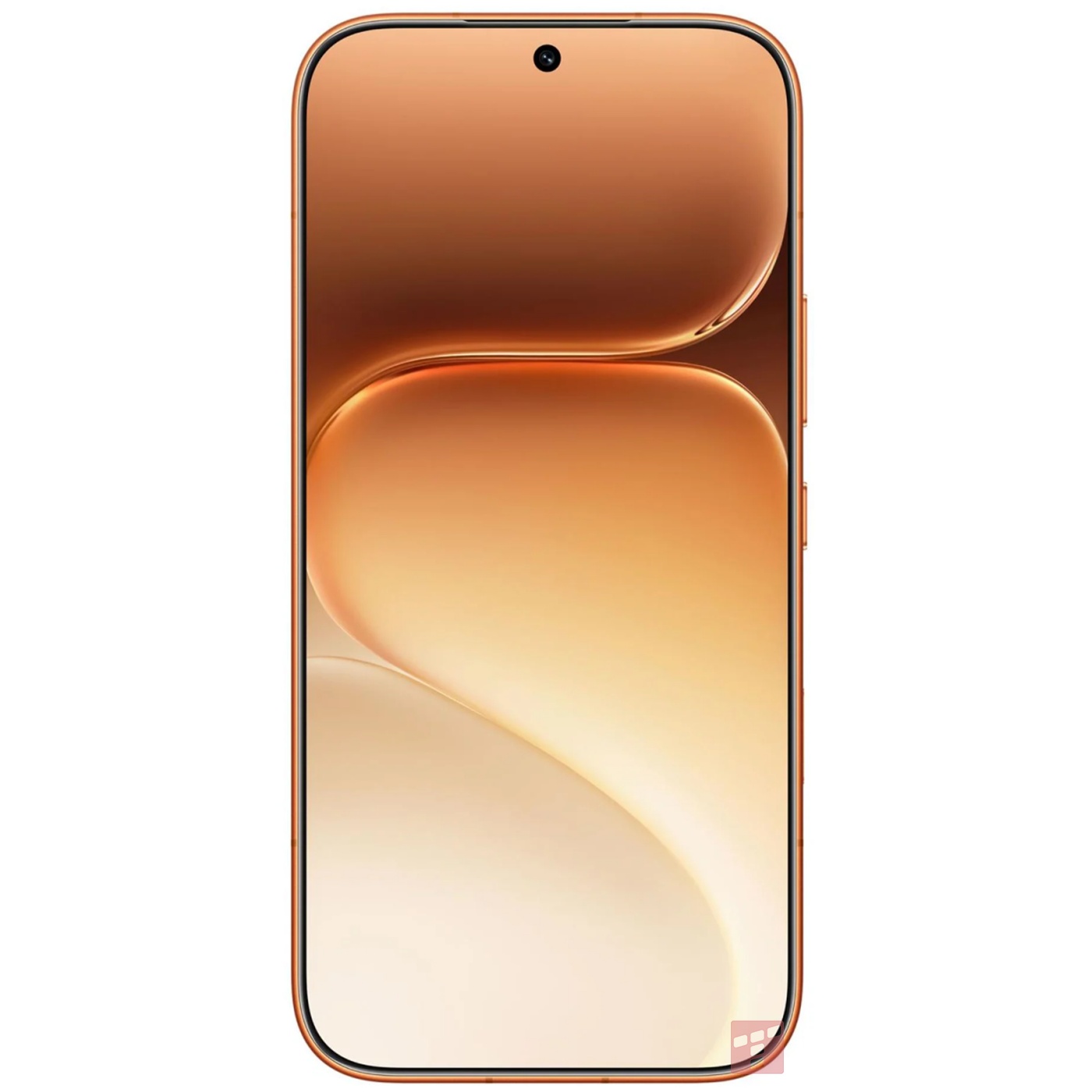 Honor 600