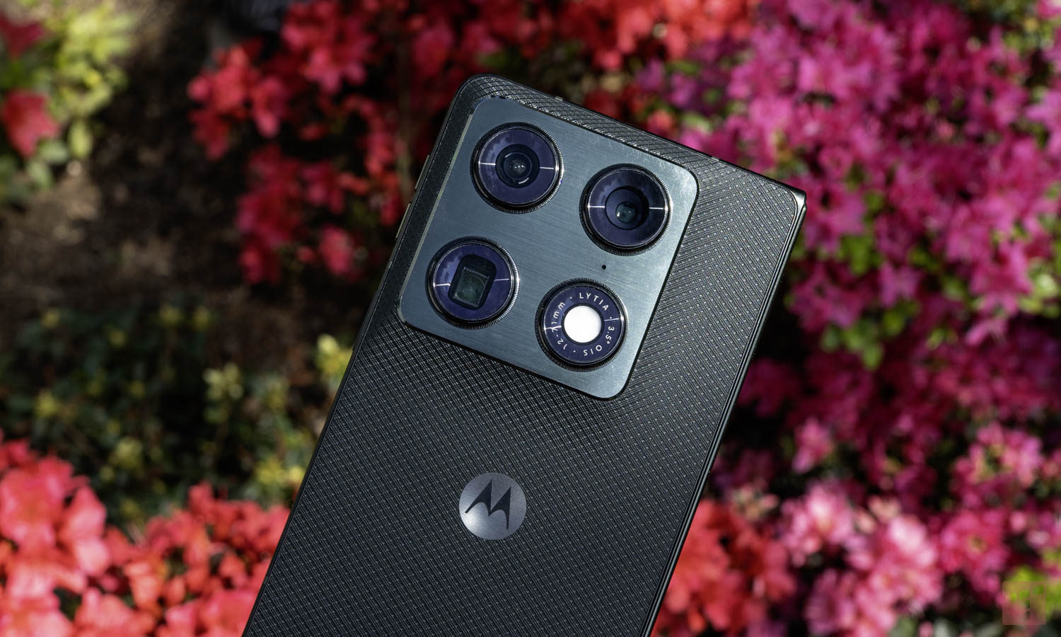 Motorola rzuca wyzwanie Samsungowi. Wielki test aparatów w Foldach