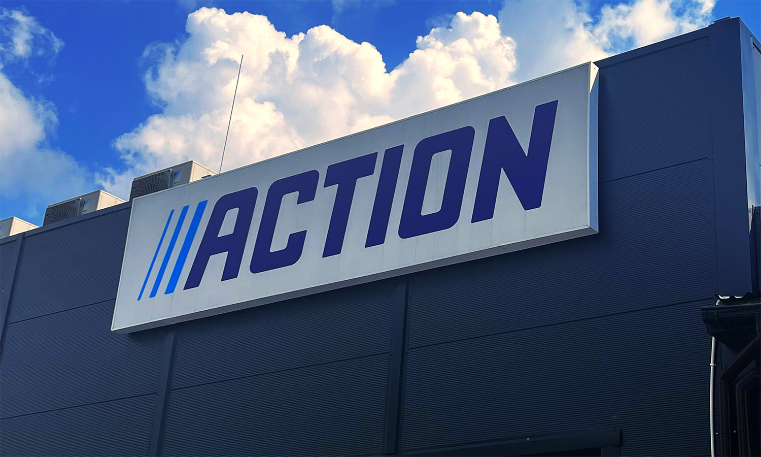 W Action za 3,59 zł ideał Polaka. Odporna na pot i łzy