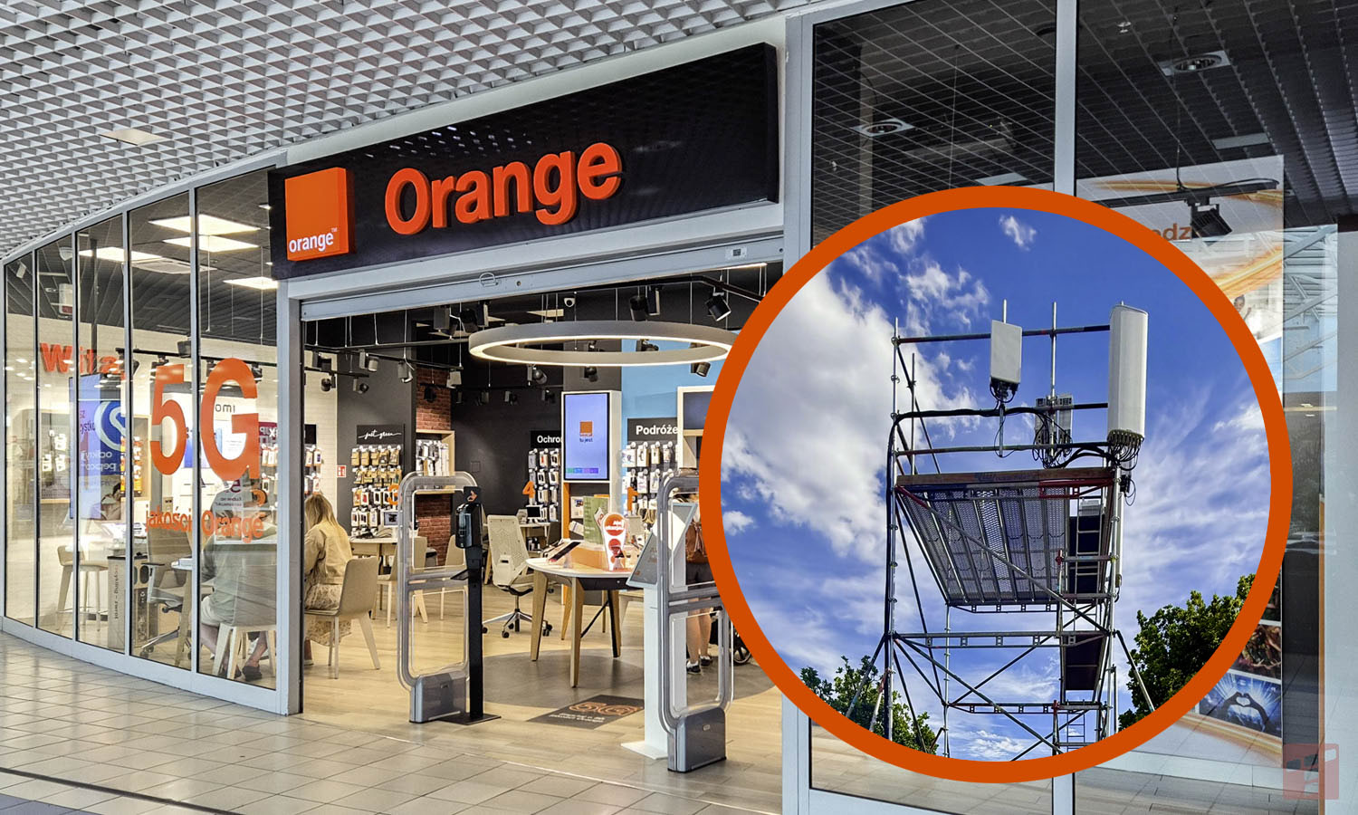 Oblężenie sieci na festiwalu. Orange pochwalił się liczbami