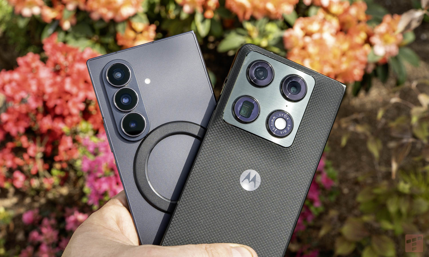 Motorola rzuca wyzwanie Samsungowi. Wielki test aparatów w Foldach
