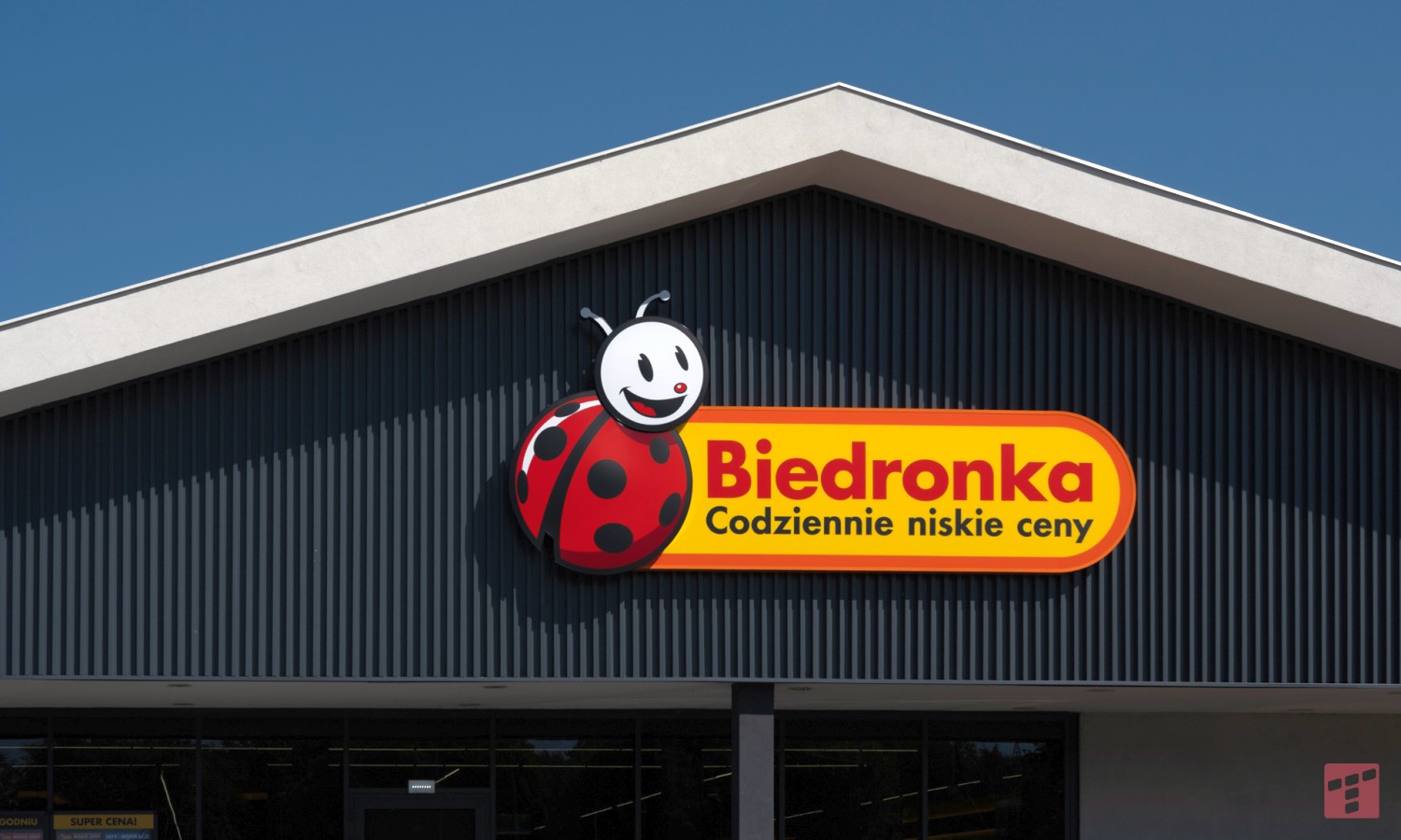 W Biedronce za 29,99 zł. Świetna promocja i to znanego producenta