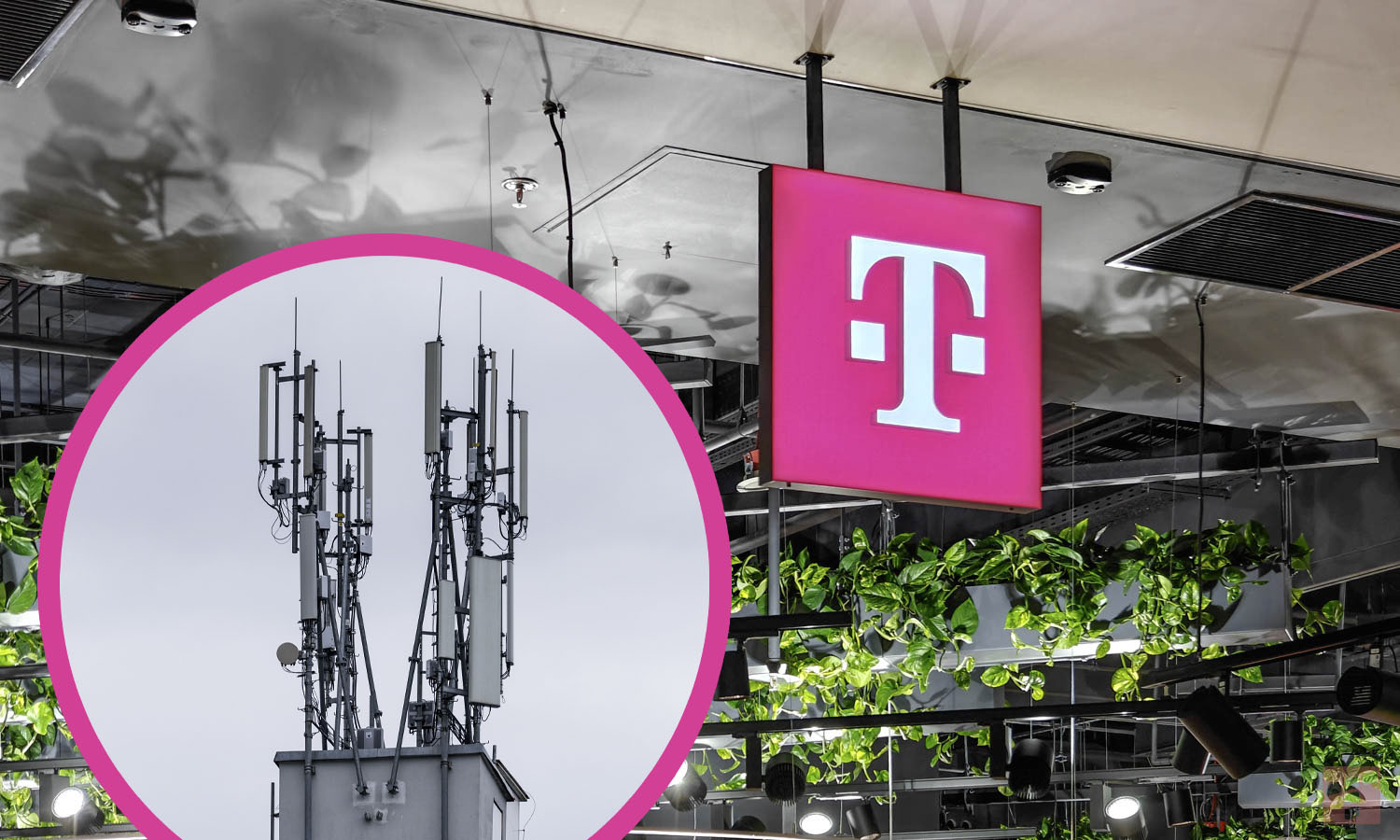 T-Mobile się stara, ale dojść nie może. Play za to daje radę
