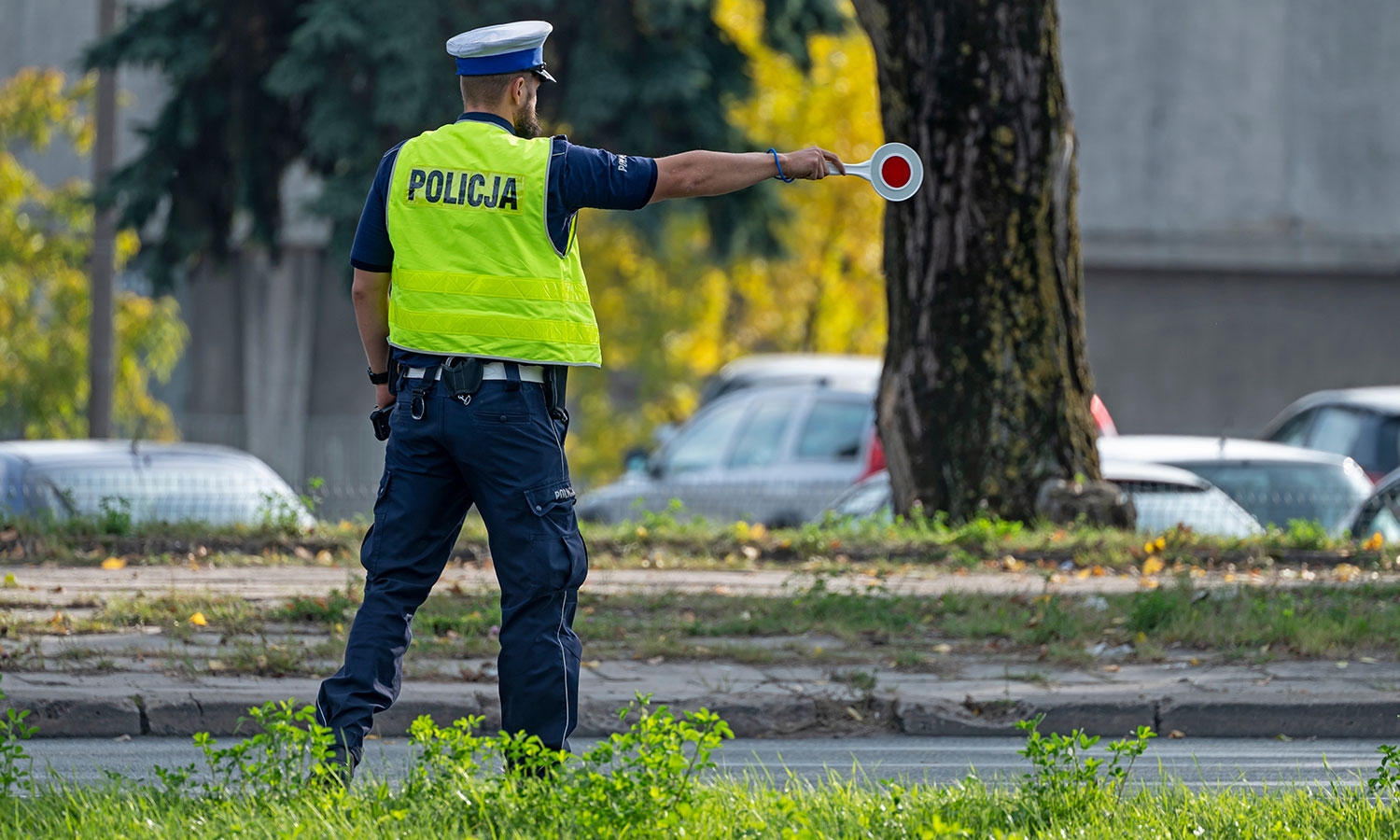 47 identycznych mandatów jednego dnia. Wyłapują hurtowo