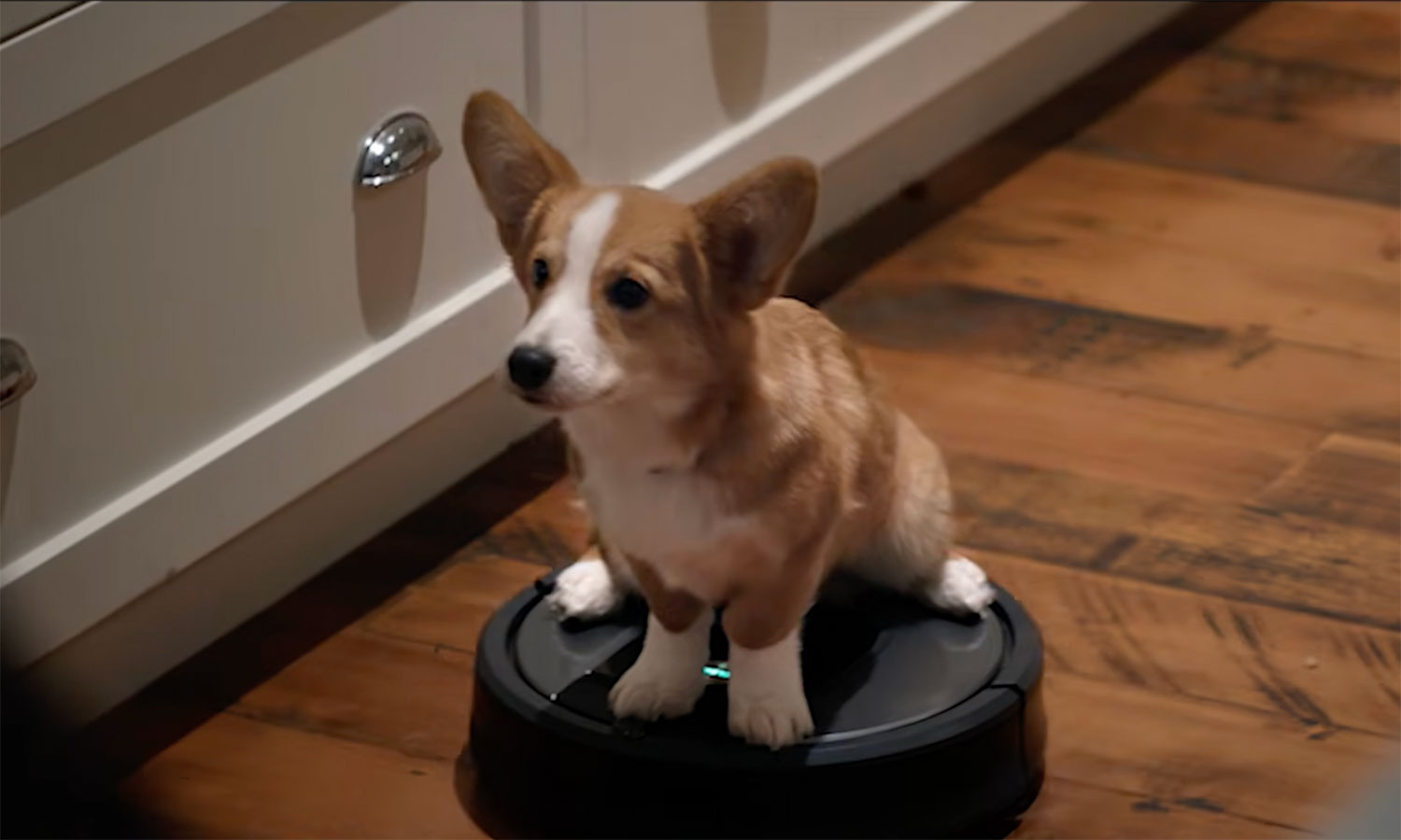 Na Neflixie już się zaczyna. Czy nowy film przebije słynnego Kevina?