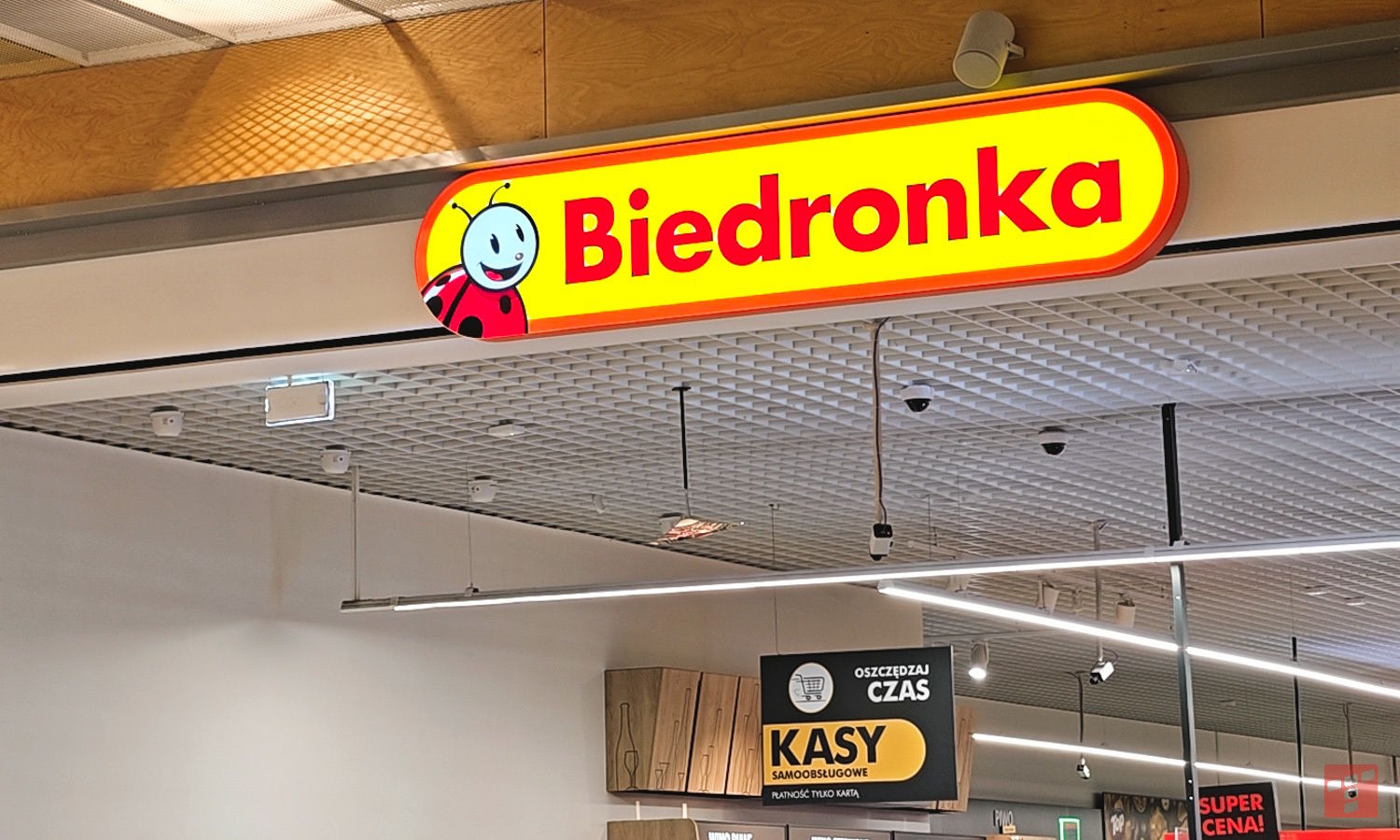 W Biedronce za 58,90 zł. Ogrzeje w chłodne wieczory i pomoże na ból