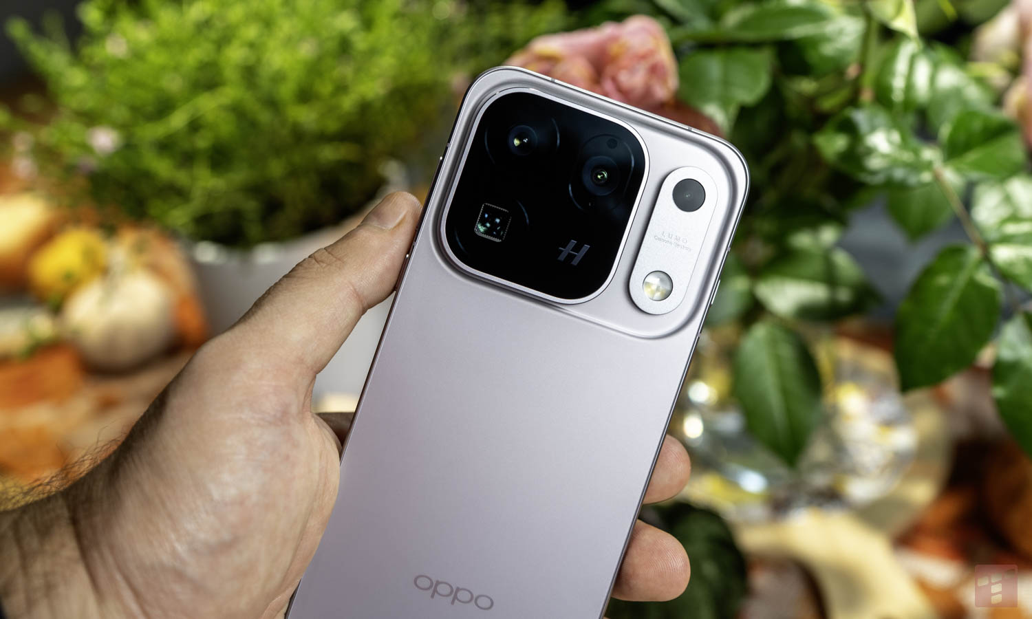 Trzy razy 200 Mpix w akcji. Test Oppo Find X10 Pro Max