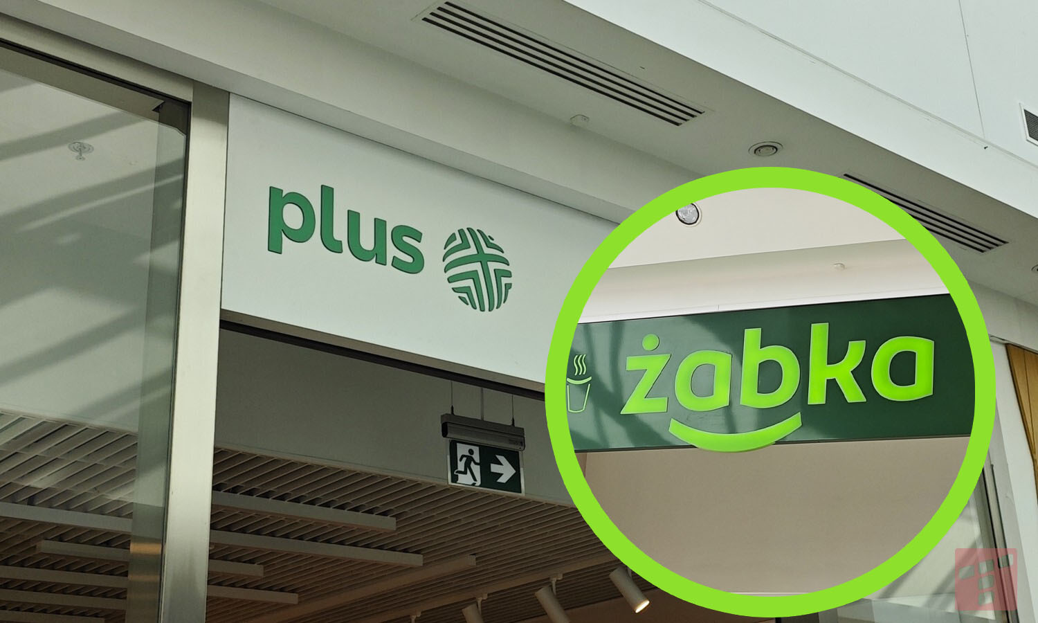 Plus rozdaje bony do Żabki. Jest jeden haczyk
