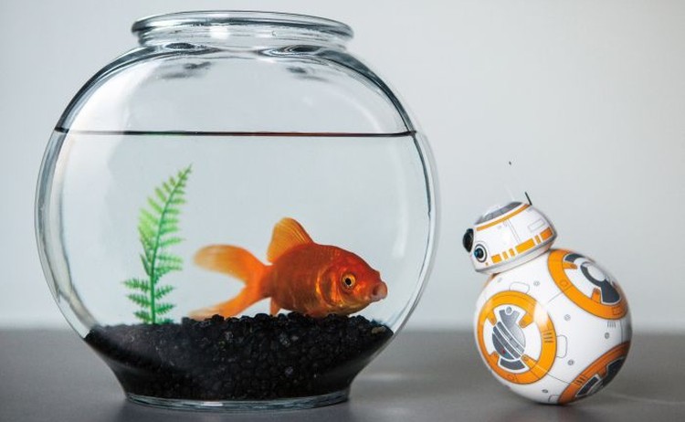 Roboty edukacyjne Star Wars mogą być dobrym prezentem dla dziecka