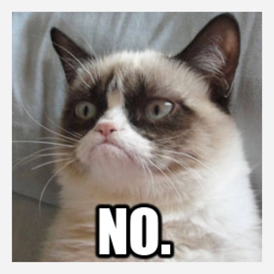 Nie żyje bohater wielu internetowych memów. Odszedł Grumpy Cat
