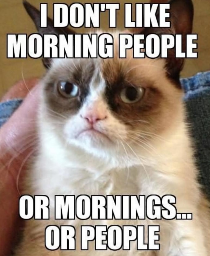 Nie żyje bohater wielu internetowych memów. Odszedł Grumpy Cat