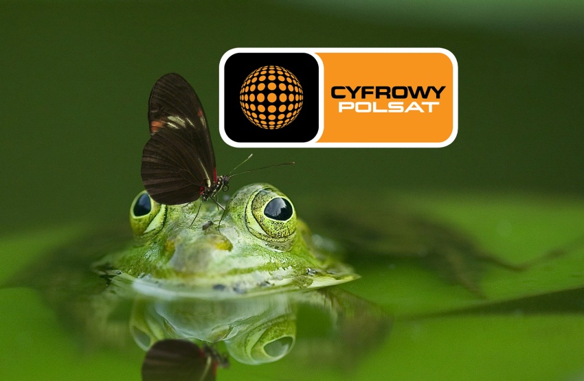 Grupa Cyfrowy Polsat chce pozyskać miliard złotych na inwestycje proekologiczne