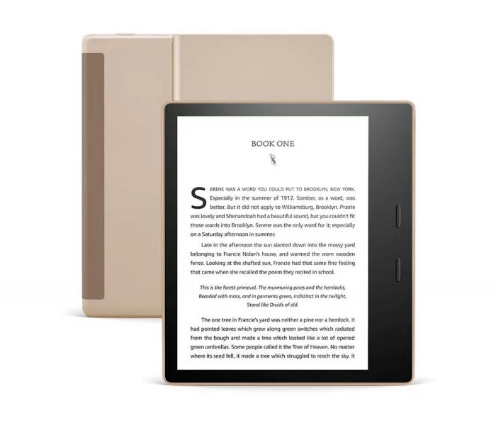 Na czym czytać e-booki? Polecane czytniki nie tylko na czas #ZostańWDomu