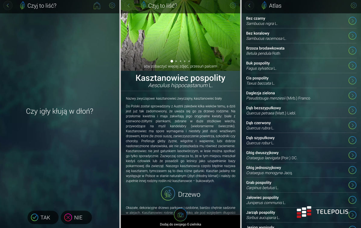 Google Play: 5 aplikacji i gier, które warto zabrać na majówkę