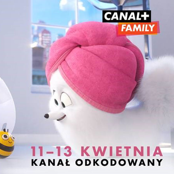 Odkodowany Canal+ Family w Netii specjalnie na Wielkanoc