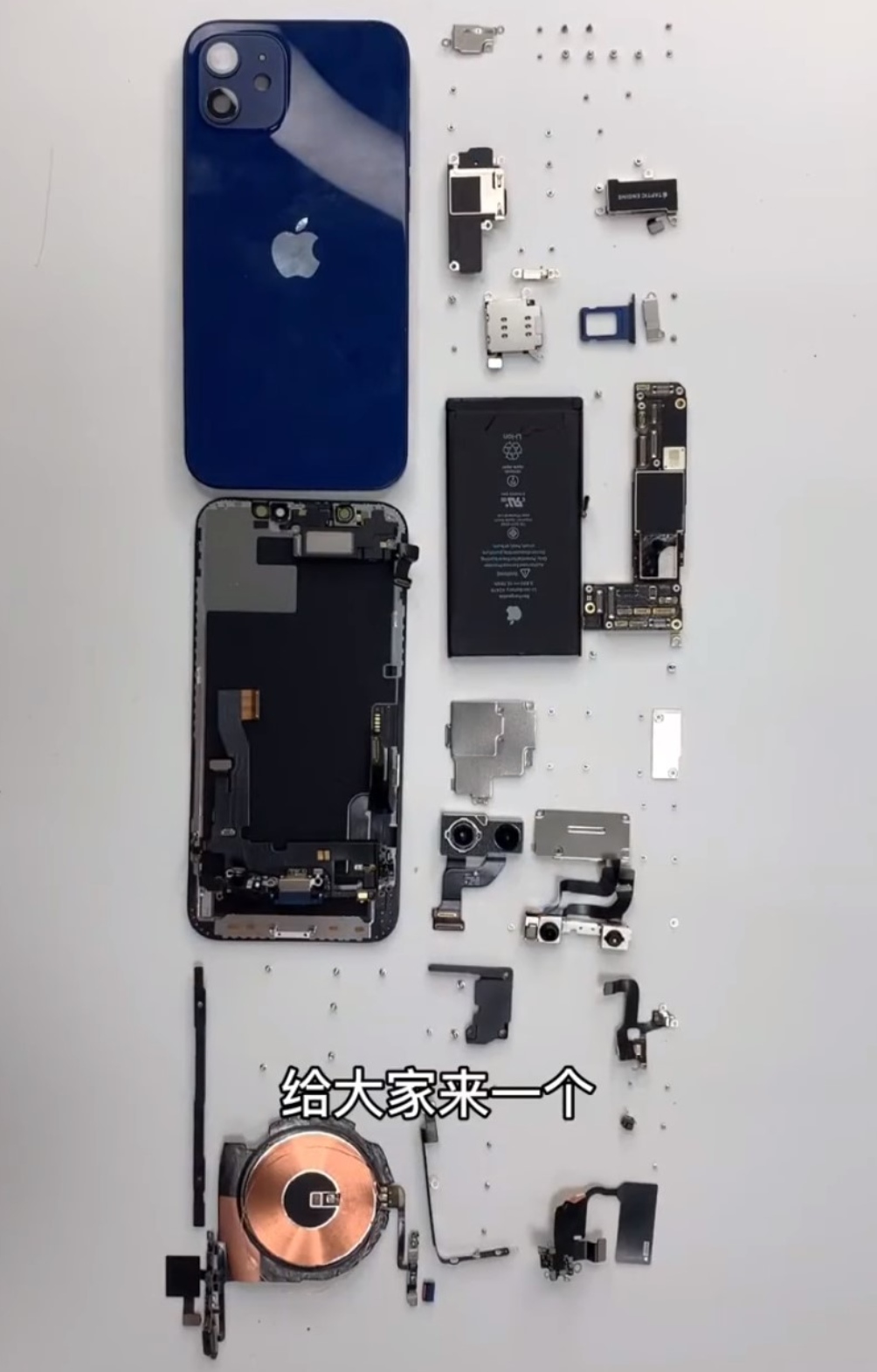 iPhone 12 rozebrany na części. W środku między innymi modem 5G Qualcommu i bateria 2815 mAh