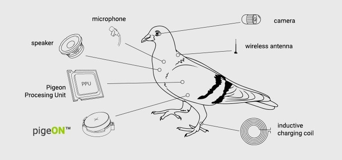Black Friday w Świecie Baterii to produkty nawet za 1 zł