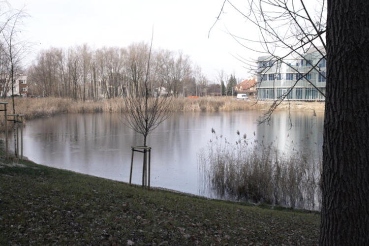 Netia uciekła z Mordoru