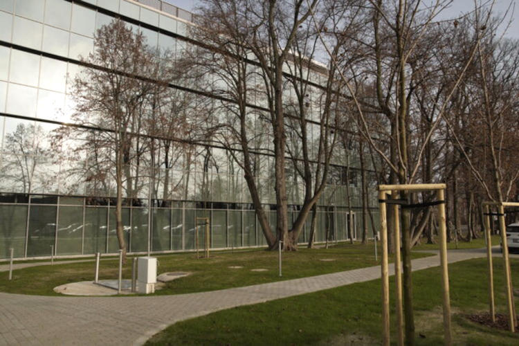 Netia uciekła z Mordoru