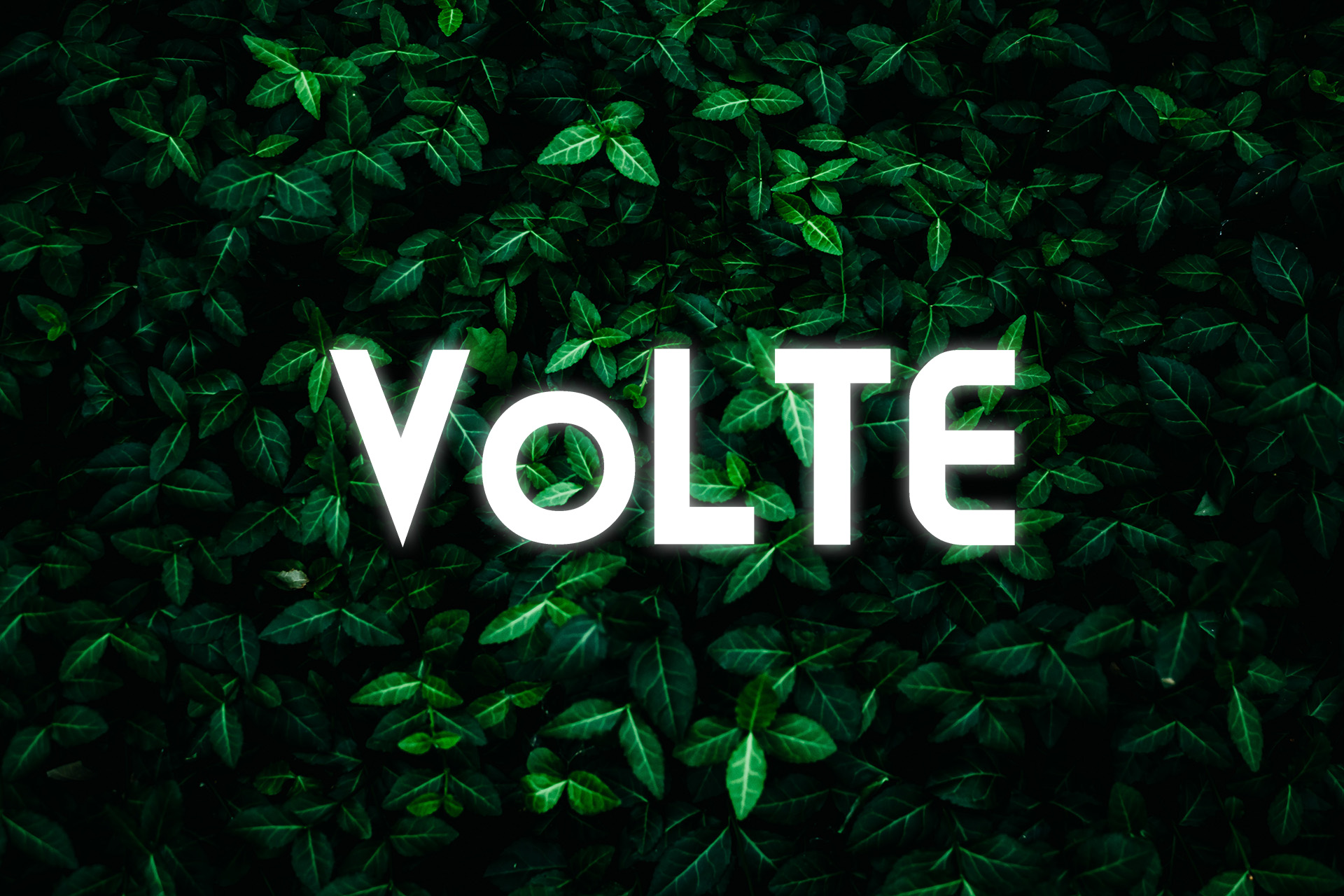 Plus: VoLTE i VoWiFi od teraz dla wszystkich