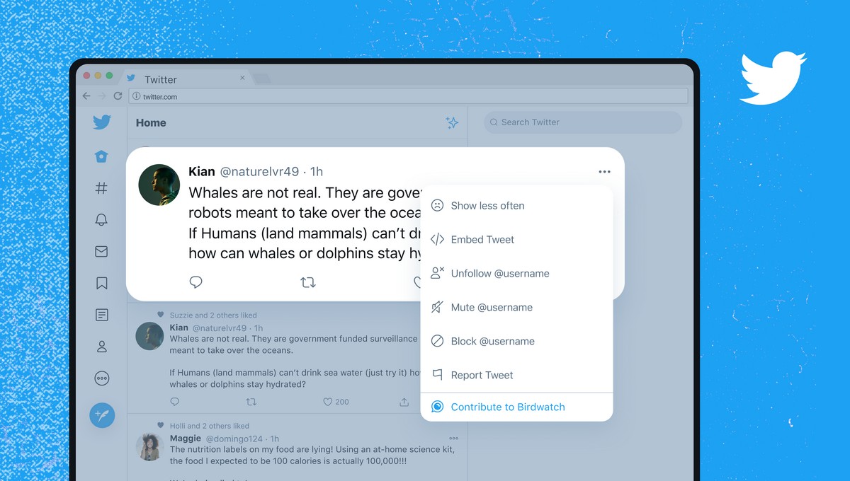 Twitter Birdwatch: nowy sposób na zwalczanie fake newsów