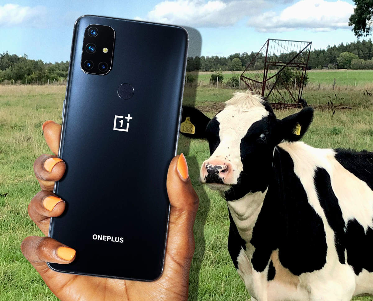 OnePlus Nord N10 5G dostępny w T-Mobile